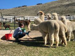 Aiden helping keep our girls cool on a hot day.