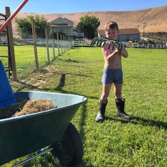 Phin helping keep our pastures clean.