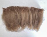alpaca for sale