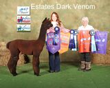 alpaca for sale