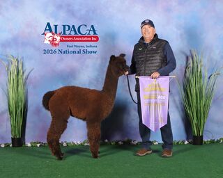 Photo of LibertyAlpacas Tu Legit