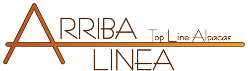 ARRIBA LINEA ALPACAS