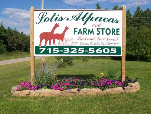 Lotis Alpacas