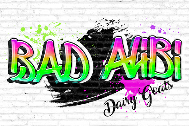 Bad Alibi Dairy Goats