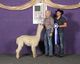 1st Place Futurity 2022