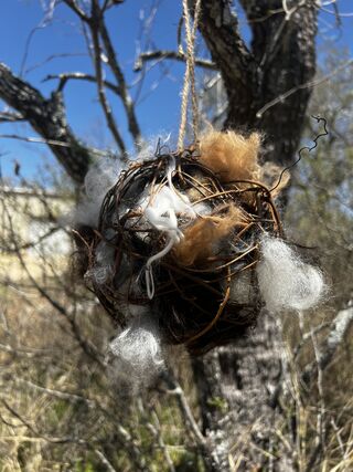 Photo of Nesting Balls