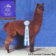 alpaca for sale