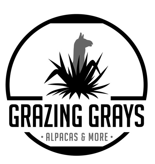 Grazing Grays Alpaca&More
