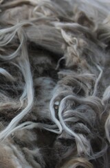 suri fleece