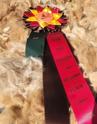 huacaya fleece