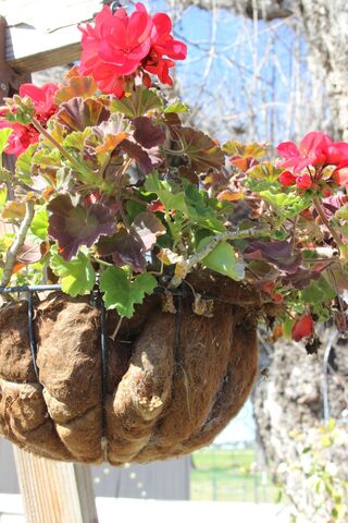 hanging basket liners