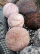 Photo of Alpaca Dryer balls