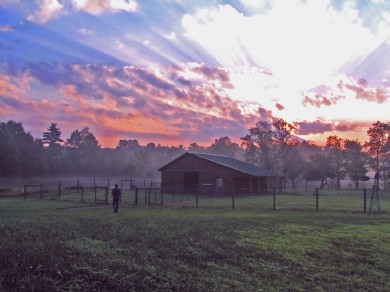 Morning SKY Farm