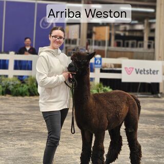 Photo of Arriba Weston