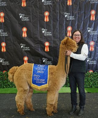 Photo of Ariya Pure Reserve's Golden Treasure