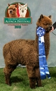 Photo of BLACK ACCOYO JACKPOT