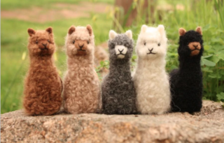 Alpacadorable Hand Made Baby Alpaca Orna