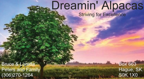 Dreamin' Alpacas