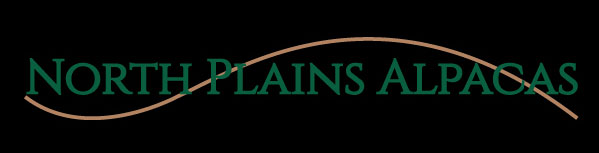 North Plains Alpacas
