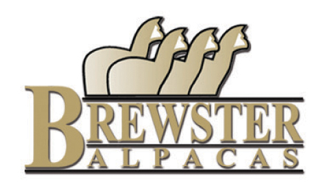 Brewster Alpacas