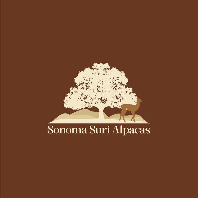 Sonoma Suri Alpacas