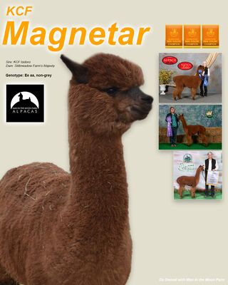Photo of KCF Magnetar