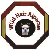 Wild Hair Alpacas LLC