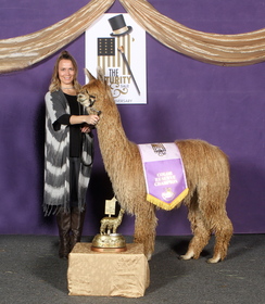Futurity, Res Champion