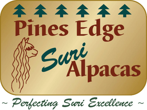 Pines Edge Suri Alpacas