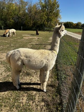 Photo of Homestead Arts Farm Beauregard