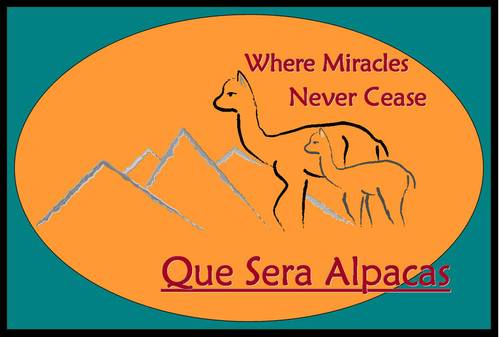 Que Sera Alpacas