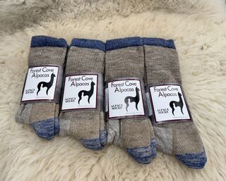 Photo of Mid-Weight AFS Sock
