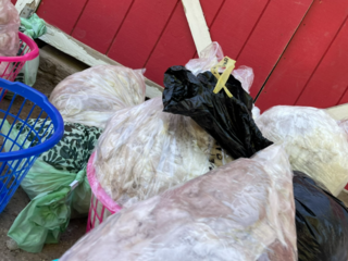 Photo of Raw Fiber