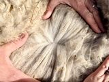 March 2026 Fleece 