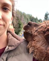 alpaca for sale