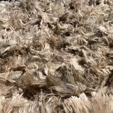 alpaca for sale