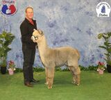 Ebfort's Silver Strike - a full brother