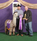 Snowmass Stylish Enlightening - Watusi's Sire