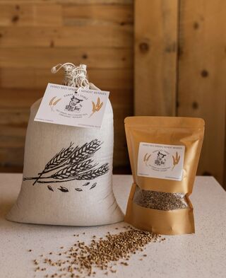Photo of Hard Spring Wheat Berries