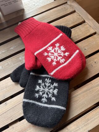 Photo of Double Lined Alpaca Mitts