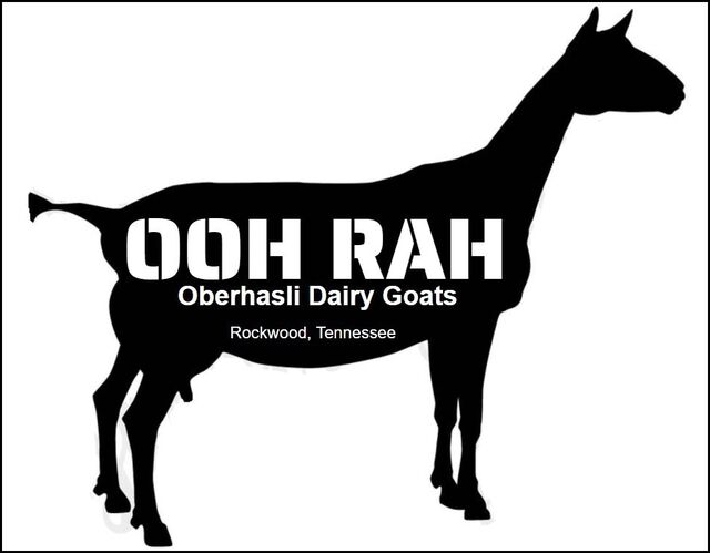 OOH RAH Dairy Goats