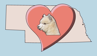 Alpacas of the Heartland LLC