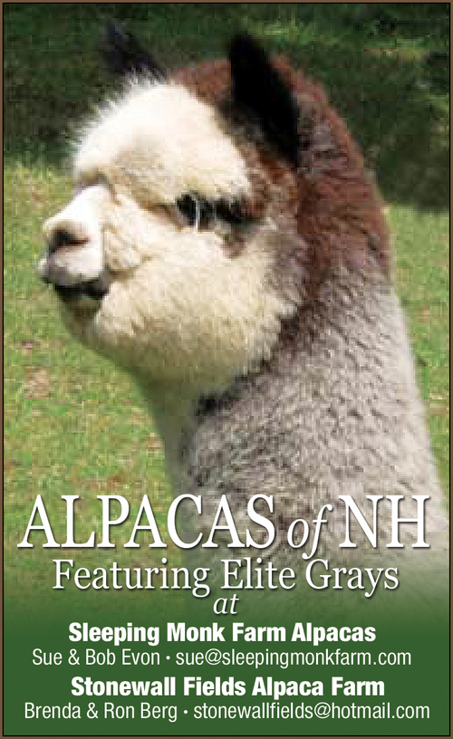 SLEEPING MONK FARM ALPACAS 