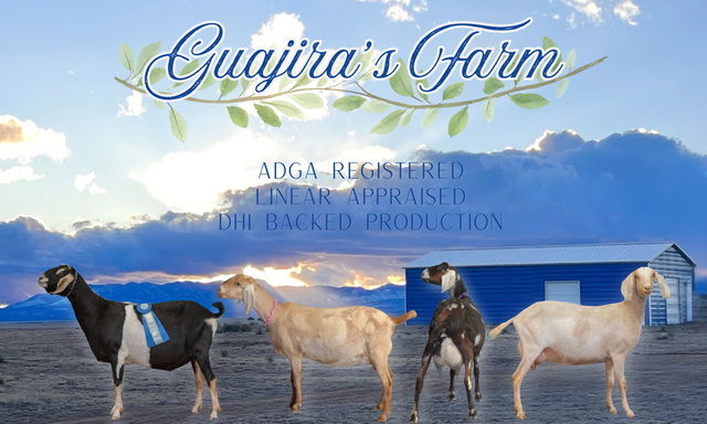 Guajira's Farm