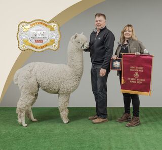 Photo of Irish Meadows' Raider