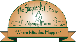 Alpaca Joy Boutique