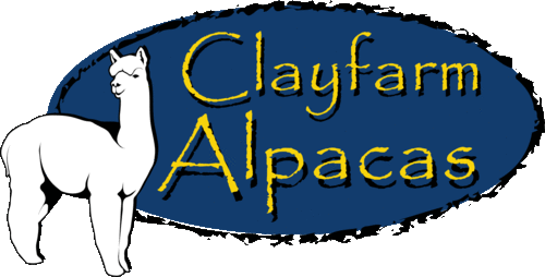 Clayfarm Alpacas