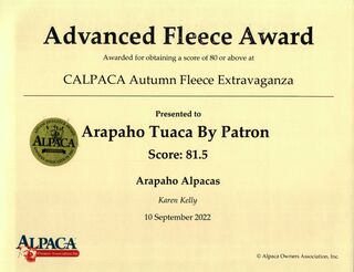 Photo of Arapaho TUACA by Patron