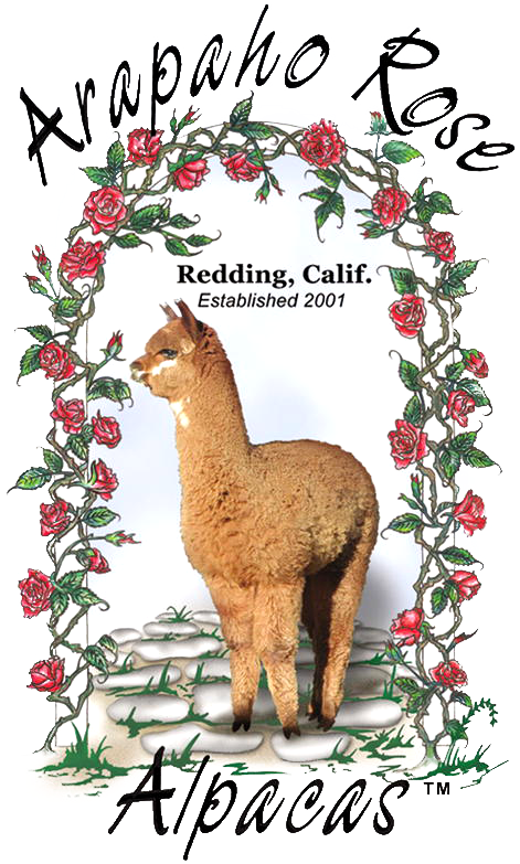 Arapaho Rose Alpacas