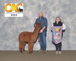 Photo of CVAF SUGARTIME